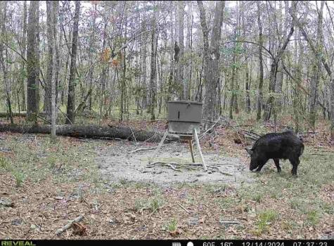 1793 County Road 3132 Buna TX 77612
