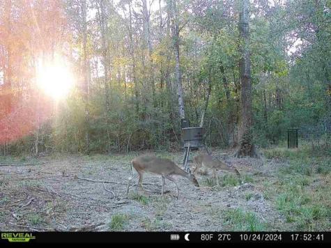 1793 County Road 3132 Buna TX 77612