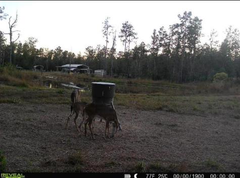 1793 County Road 3132 Buna TX 77612