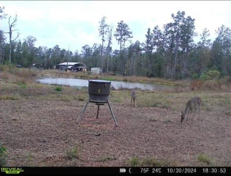 1793 County Road 3132 Buna TX 77612