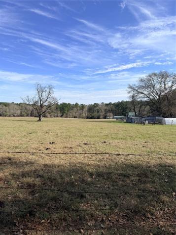Tbd Forest Trace Road Richards TX 77873
