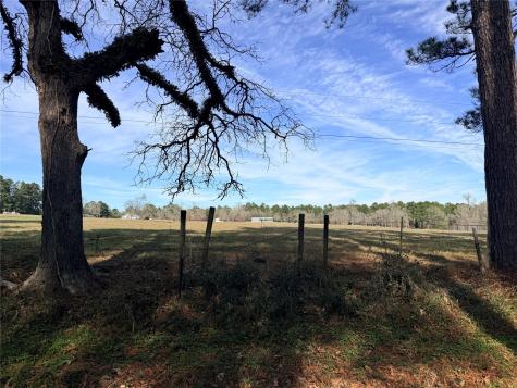 Tbd Forest Trace Road Richards TX 77873