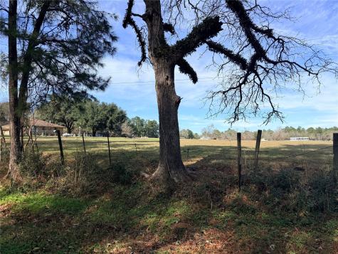 Tbd Forest Trace Road Richards TX 77873