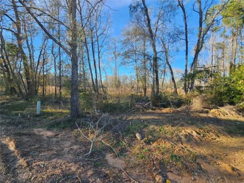 Lot 3 Sherwood Drive Shepherd TX 77371