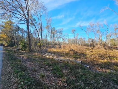 Lot 3 Sherwood Drive Shepherd TX 77371