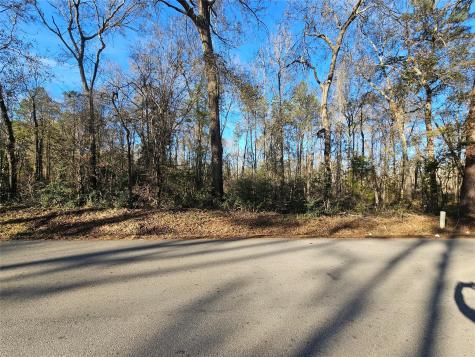 Lot 3 Sherwood Drive Shepherd TX 77371