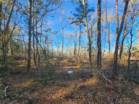 Lot 3 Sherwood Drive Shepherd TX 77371