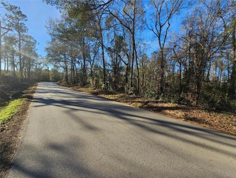 Lot 3 Sherwood Drive Shepherd TX 77371
