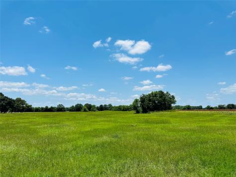 000 Davis Estate Road Needville TX 77461