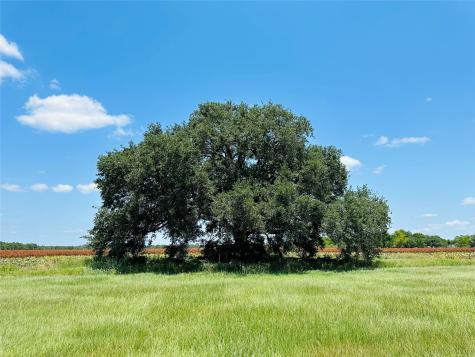 000 Davis Estate Road Needville TX 77461