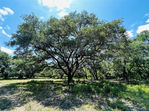 000 Davis Estate Road Needville TX 77461