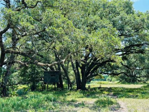 000 Davis Estate Road Needville TX 77461