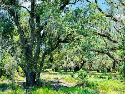 000 Davis Estate Road Needville TX 77461