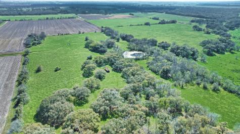 000 Davis Estate Road Needville TX 77461