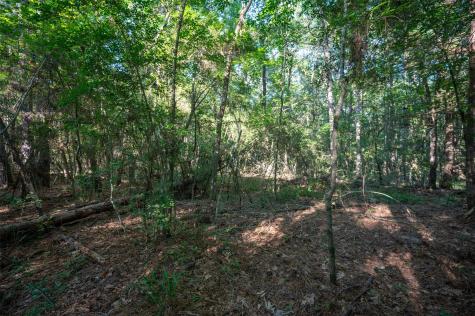 Tbd County Road 3000 Woodville TX 75979