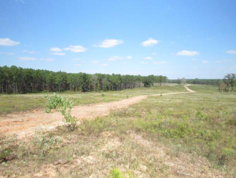 TBD22 Fm 256 N Woodville TX 75979