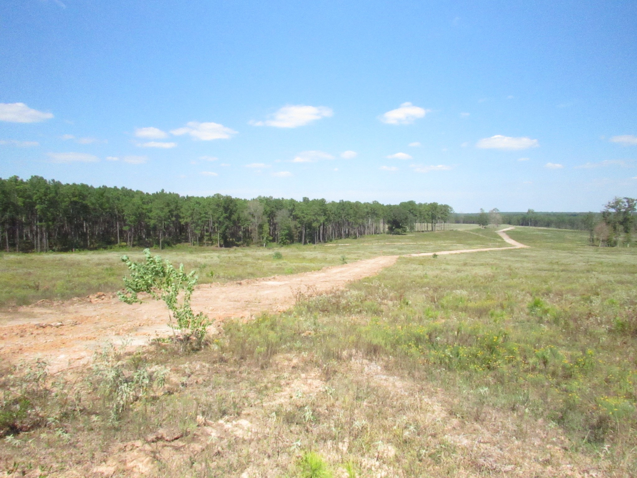 TBD22 Fm 256 N Woodville TX 75979