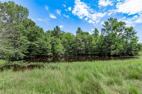 Tbd Neal Helton Road Kennard TX 75847