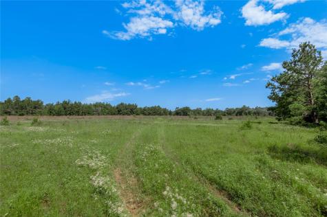 Tbd Neal Helton Road Kennard TX 75847