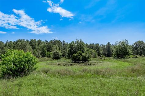 Tbd Neal Helton Road Kennard TX 75847