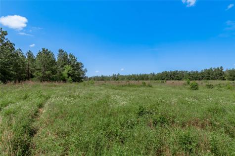 Tbd Neal Helton Road Kennard TX 75847
