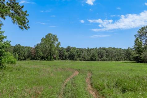 Tbd Neal Helton Road Kennard TX 75847