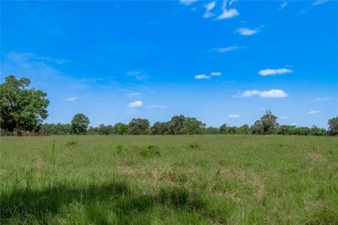 Tbd Neal Helton Road Kennard TX 75847
