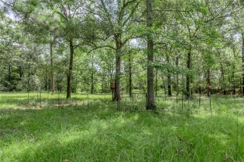 Tbd Neal Helton Road Kennard TX 75847