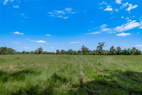 Tbd Neal Helton Road Kennard TX 75847