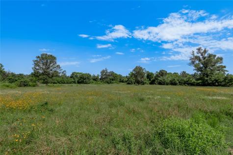 Tbd Neal Helton Road Kennard TX 75847