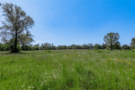 Tbd Neal Helton Road Kennard TX 75847
