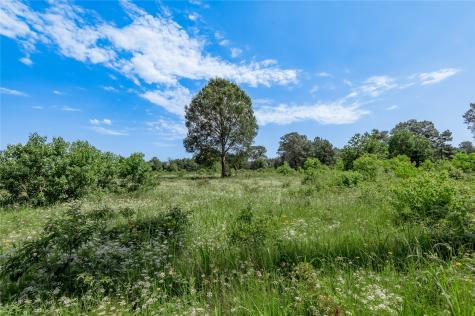 Tbd Neal Helton Road Kennard TX 75847