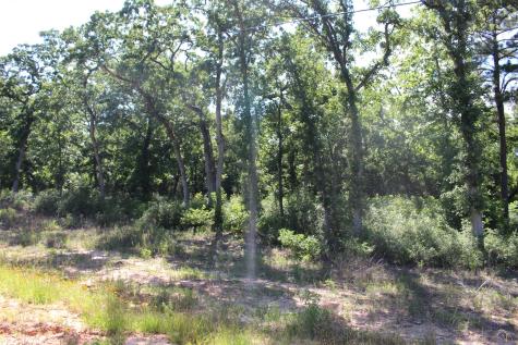 Tract 142 Private Road 1311 Centerville TX 75833