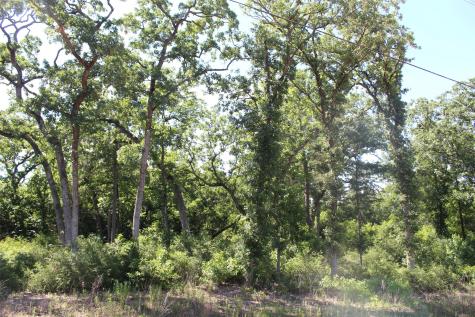Tract 142 Private Road 1311 Centerville TX 75833