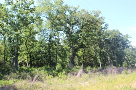 Tract 142 Private Road 1311 Centerville TX 75833
