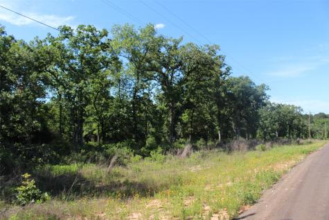 Tract 142 Private Road 1311 Centerville TX 75833