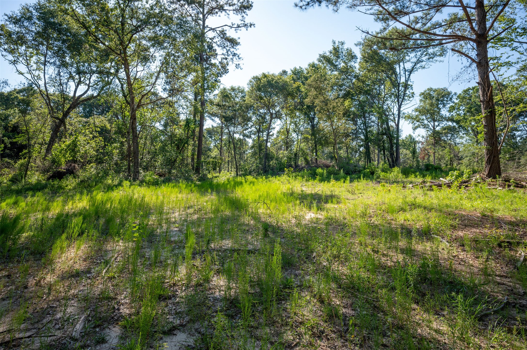 Tbd Cr 3000 Woodville TX 75979