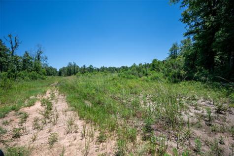 Tbd Cr 3000 Woodville TX 75979
