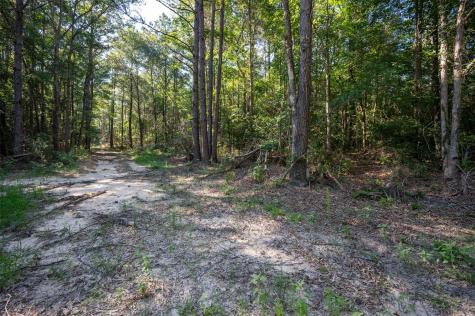 Tbd Cr 3000 Woodville TX 75979