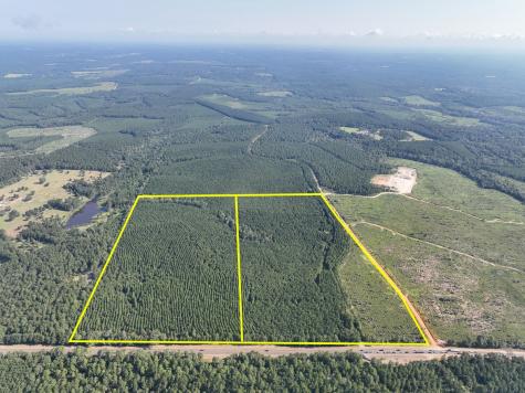 0 Highway 190 Woodville TX 75979