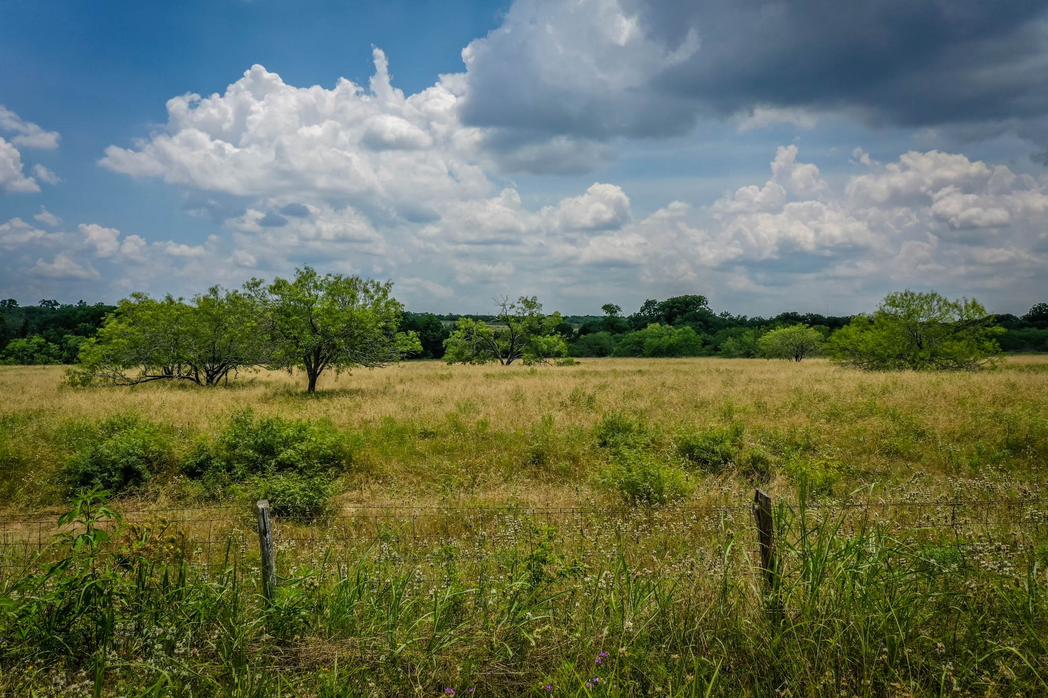 000 County Road 447 Waelder TX 78959
