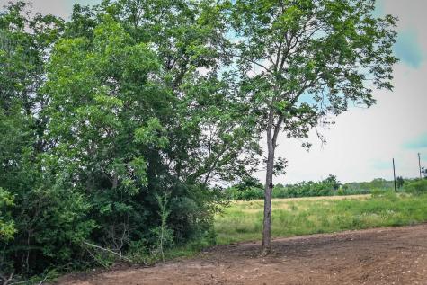 000 County Road 447 Waelder TX 78959