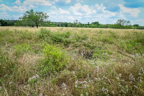 000 County Road 447 Waelder TX 78959