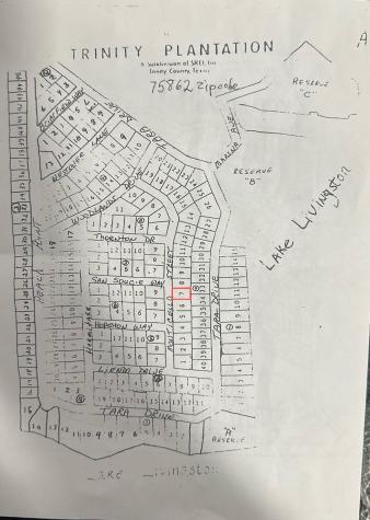 Lot 7 Monticello Street Trinity TX 75862