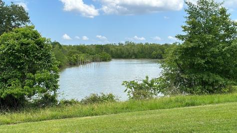 Lot 7 Monticello Street Trinity TX 75862