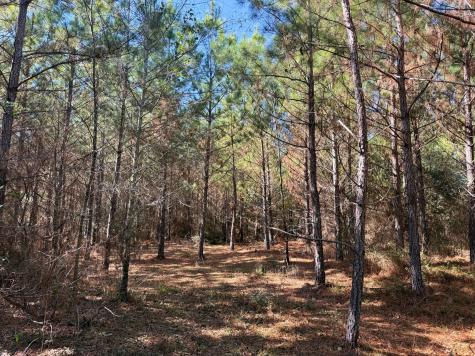 1 Kittrell Road Oakhurst TX 77359