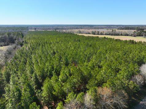 1 Kittrell Road Oakhurst TX 77359