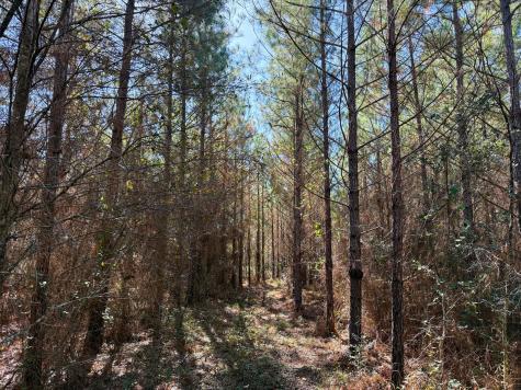 1 Kittrell Road Oakhurst TX 77359