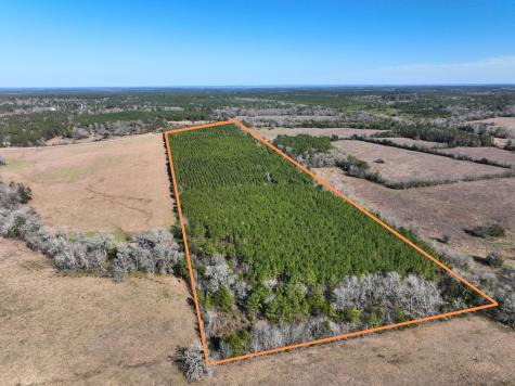 1 Kittrell Road Oakhurst TX 77359