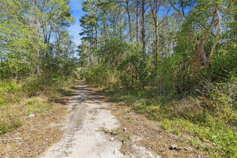00 Lilac Lane New Caney TX 77357
